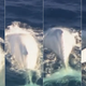 Illustration for article titled Migaloo, perhaps the world's only white humpback whale, has been spotted off the coast of Australia!